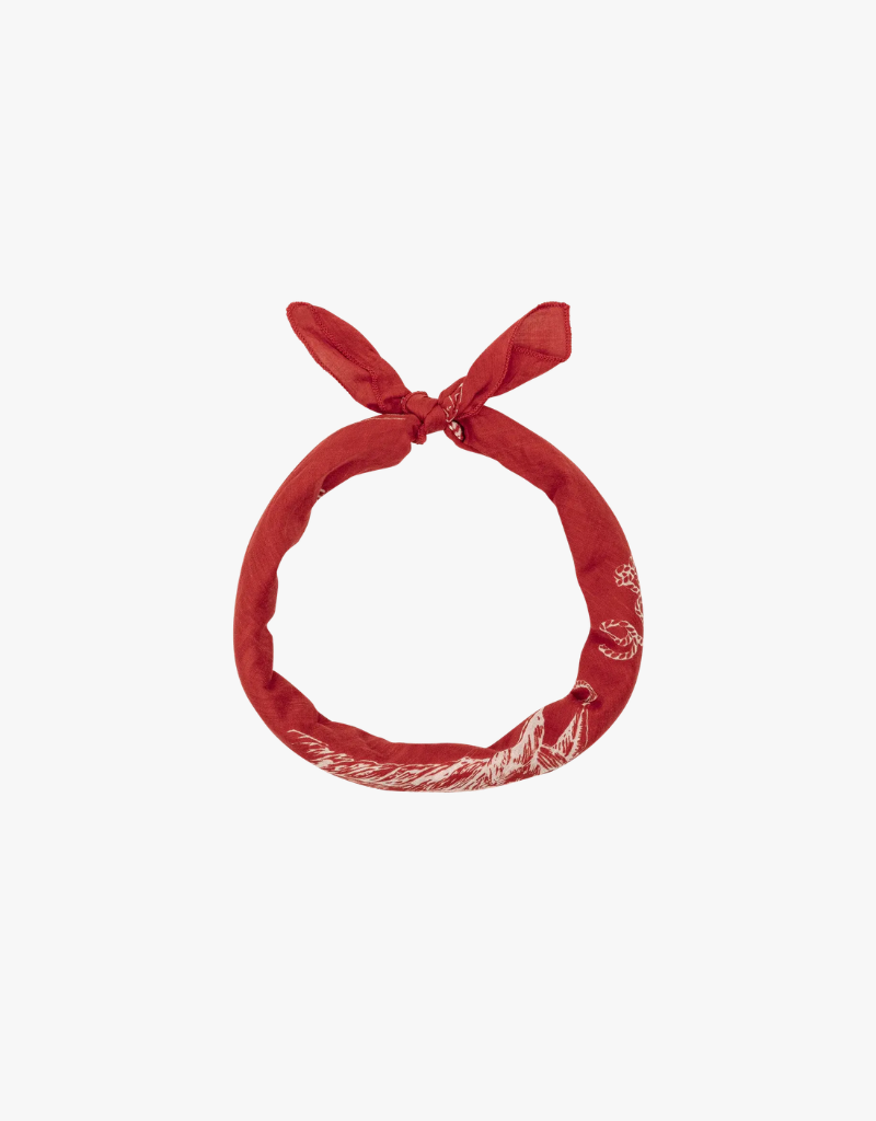 The Great The Stetson Western Bandana in Red
