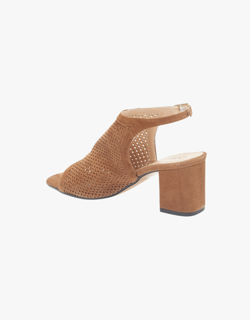 Cordani Illia Ankle Strap Sandal in Cuoio Suede