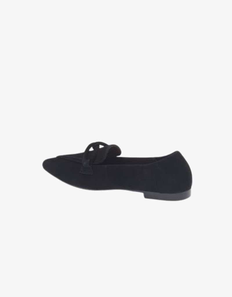 Cordani Miriam Pointed Toe Loafer in Black Suede