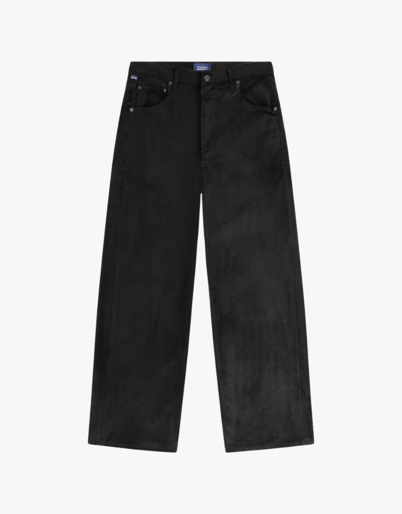 Citizens of Humanity Ayla Baggy Velvet Pants in Black