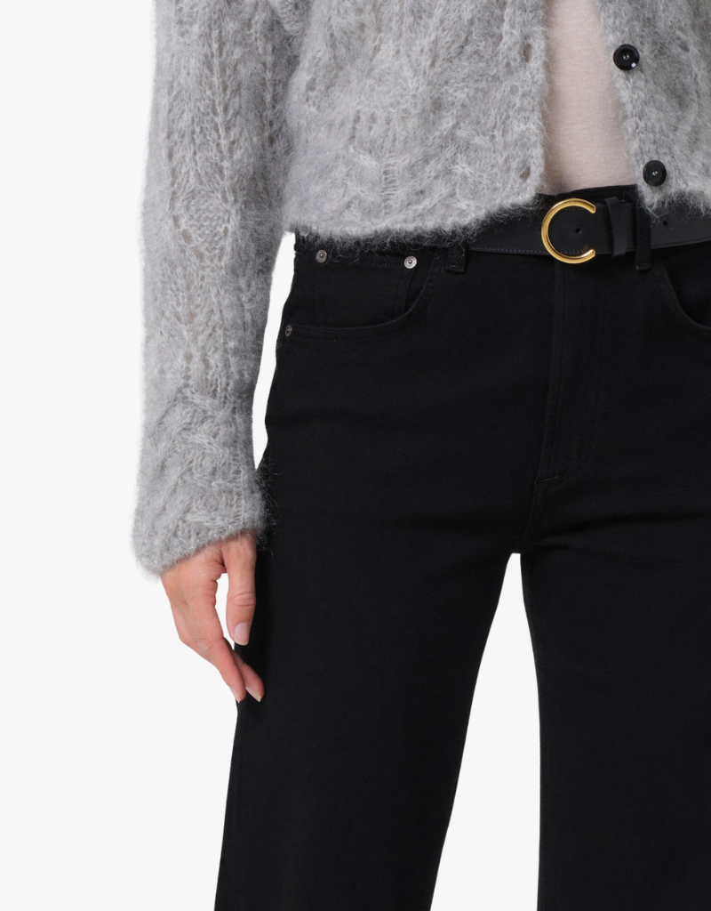 Citizens of Humanity Delfina Jean in Starless