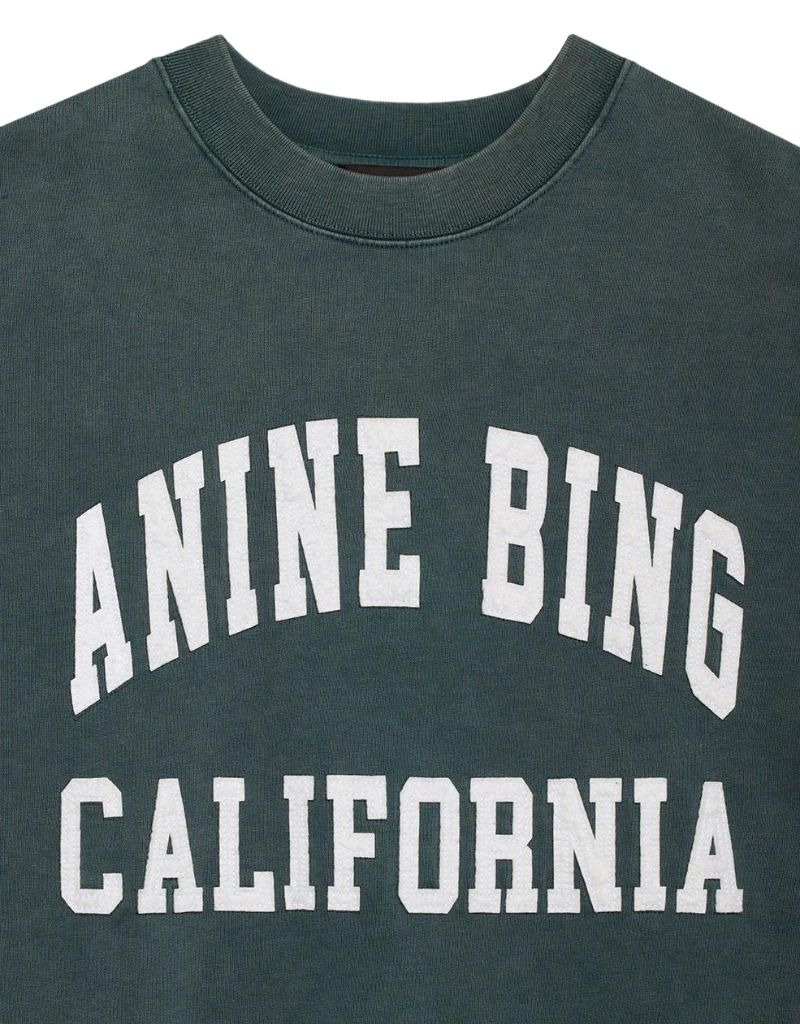 Anine Bing Miles Sweatshirt Anine Bing in Washed Dark Sage