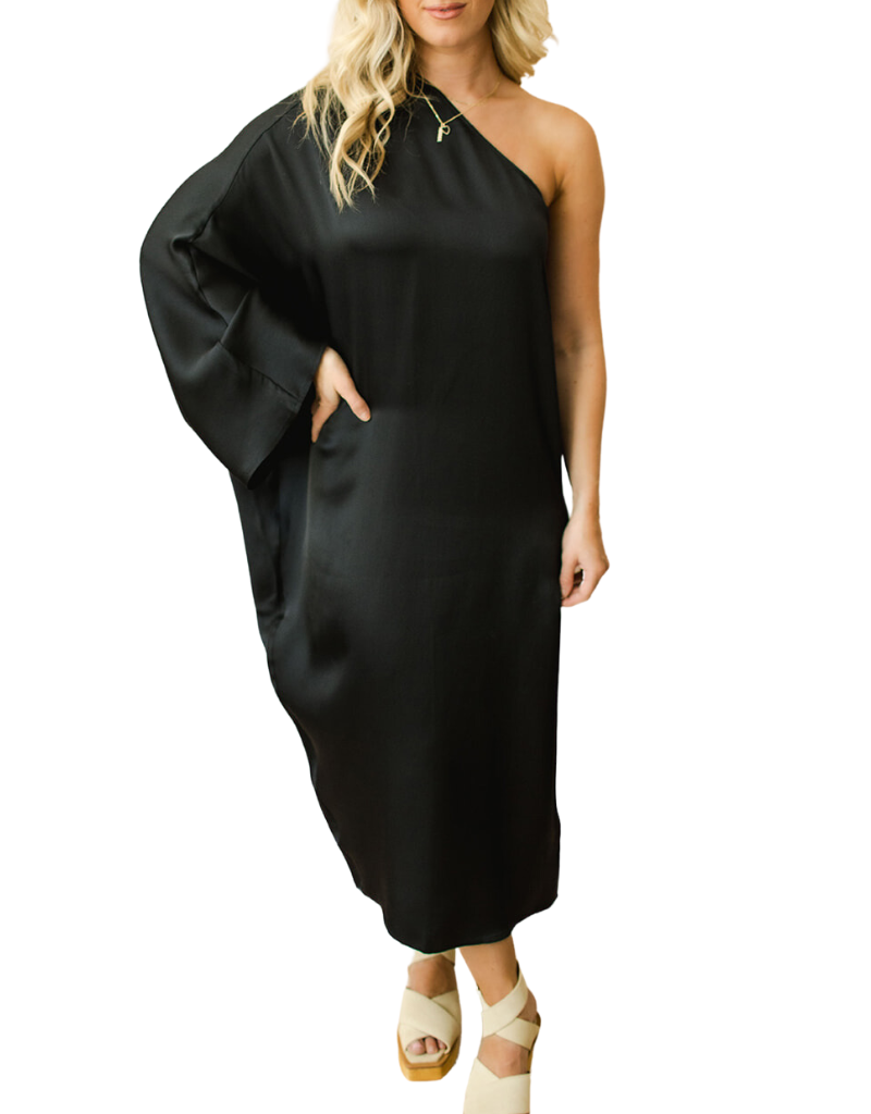 Anine Bing Rowan Dress in Black