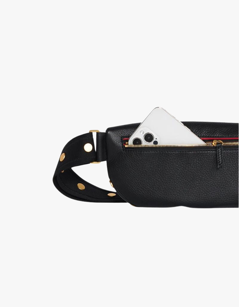 Hammitt Charles Crossbody Medium Belt Bag in Revival Collection & Brushed Gold