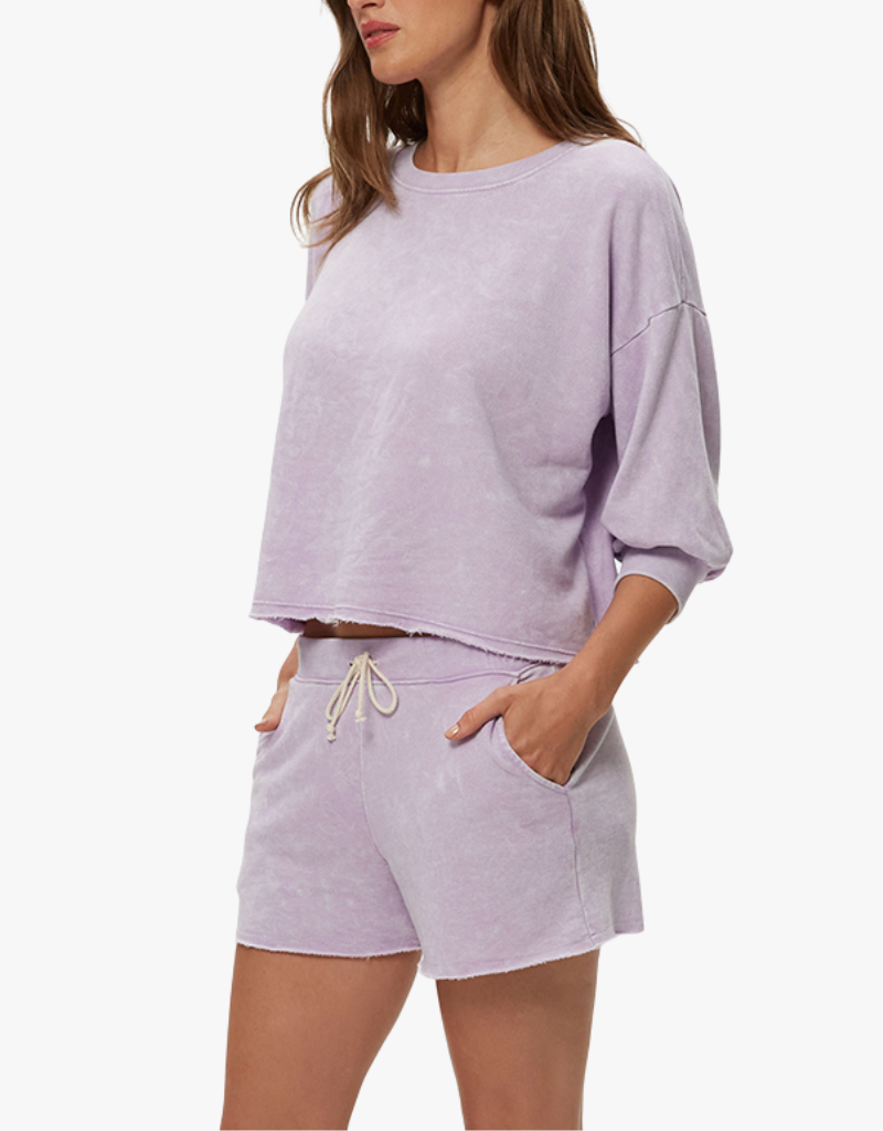 Michael Stars Julia Elbow Puff Sleeve Pullover in Whimsy