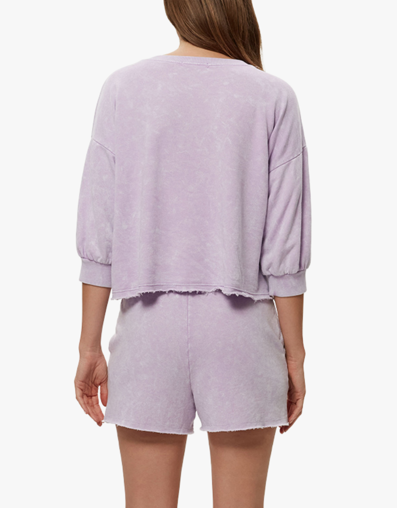 Michael Stars Julia Elbow Puff Sleeve Pullover in Whimsy