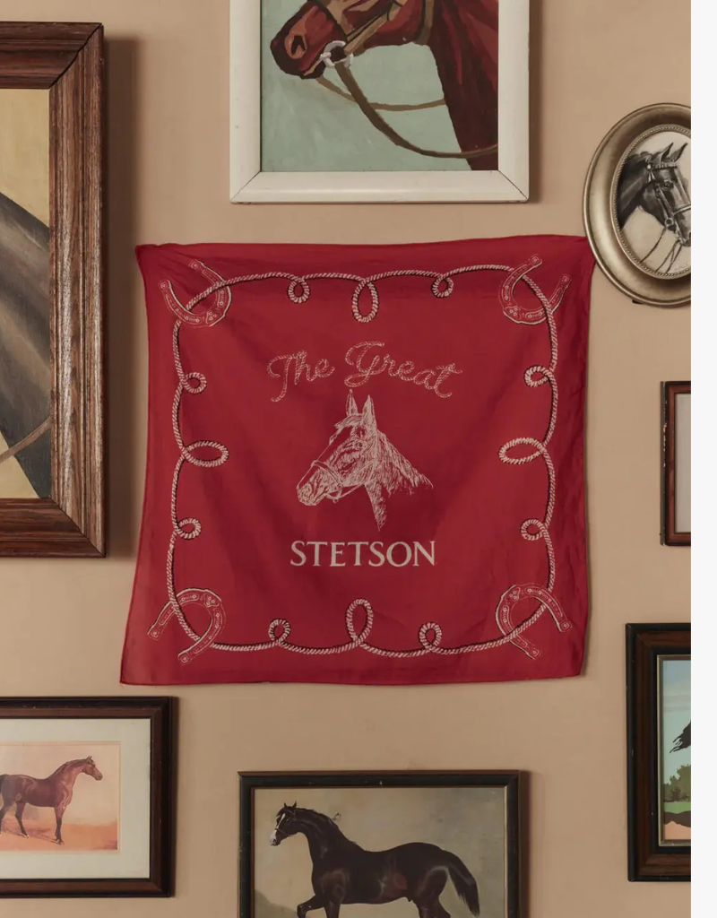 The Great The Stetson Western Bandana in Red
