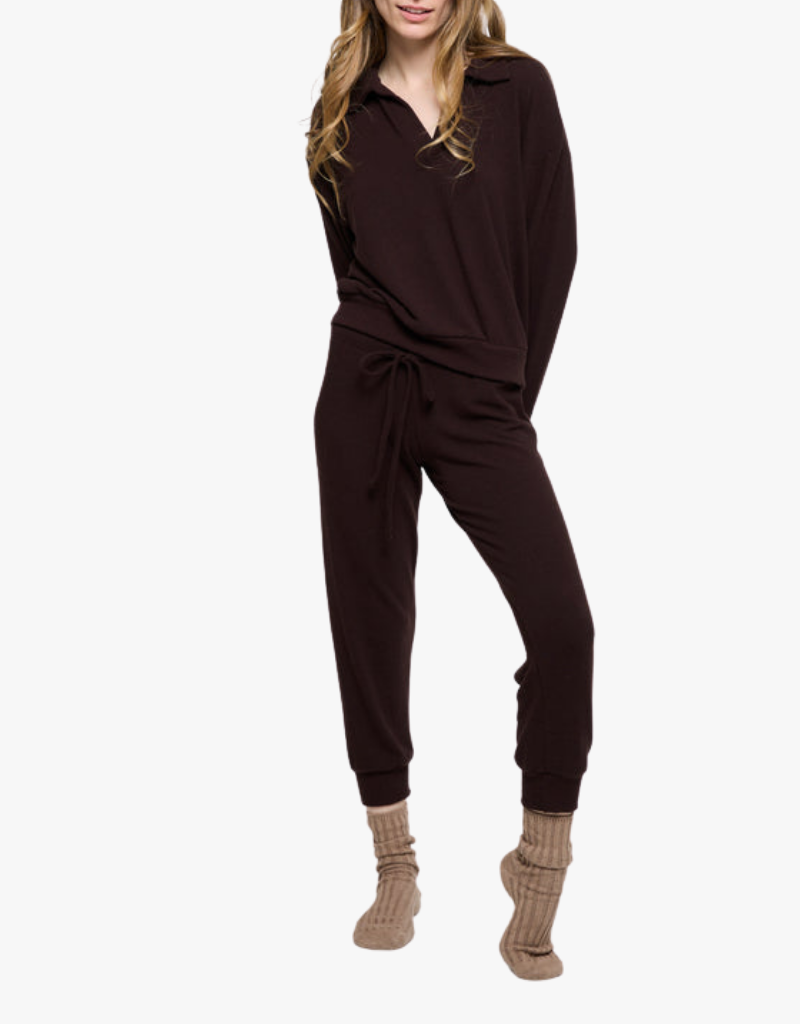 All Time Favorite Cozy Polo in Espresso