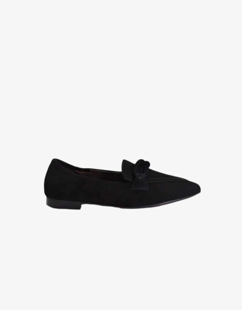 Cordani Miriam Pointed Toe Loafer in Black Suede