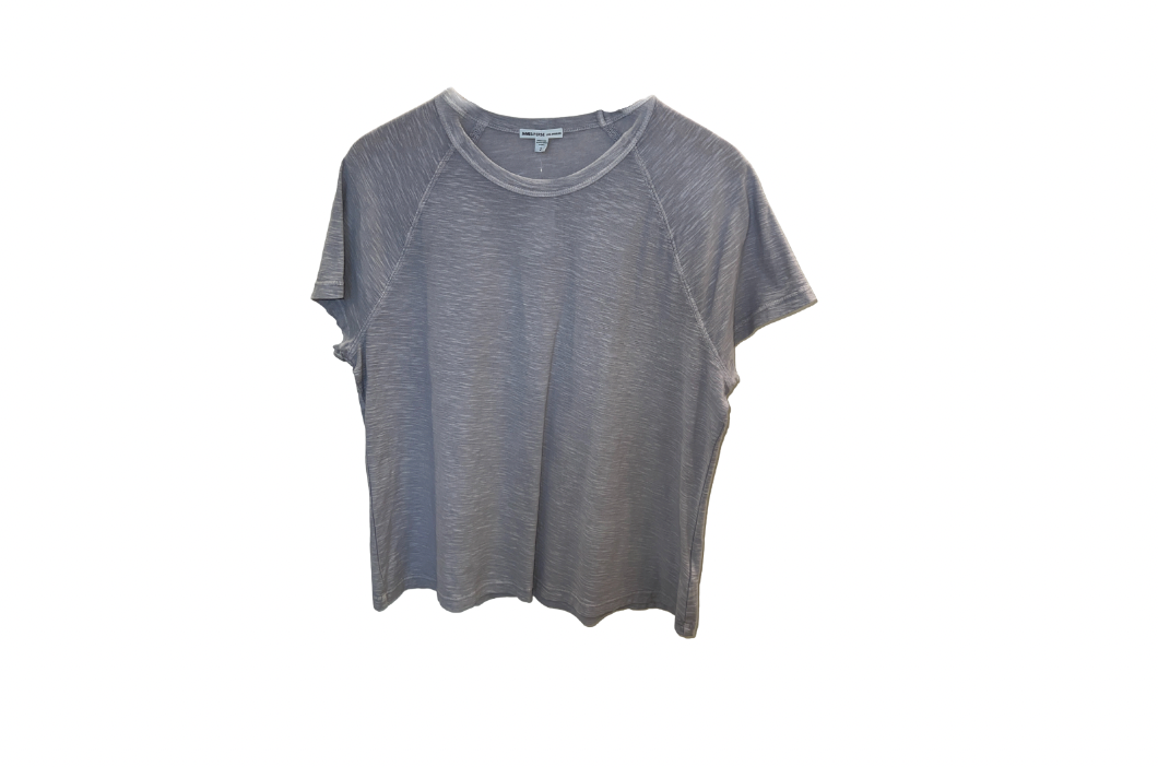 James Perse Oversized Inside Out Raglan Tee in Blue Fog Pigment